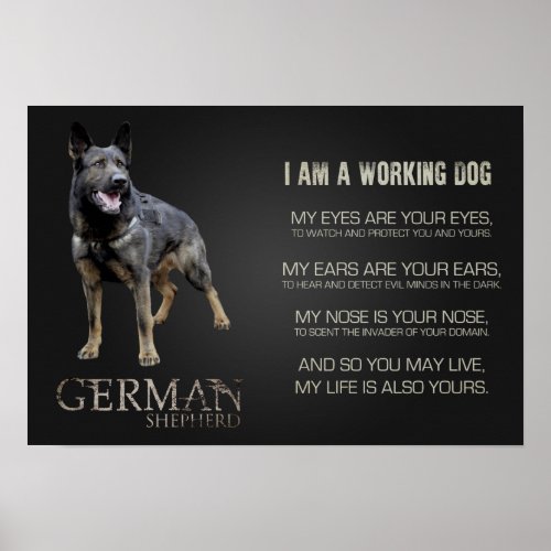 Working German Shepherd Dog  _ GSD Poster