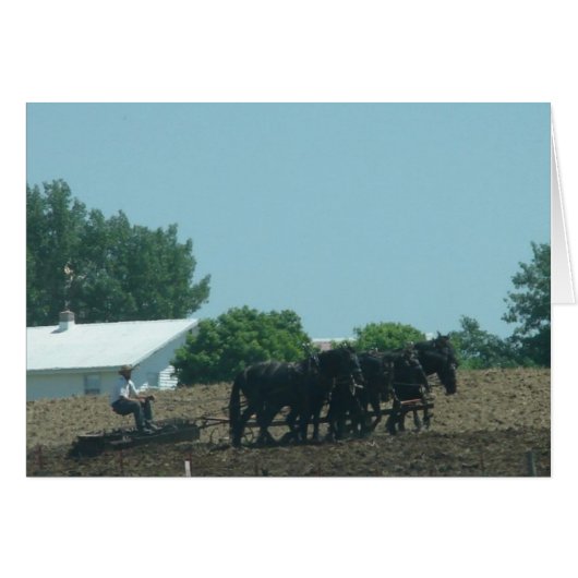 Working Horses Cards (Front Horizontal)