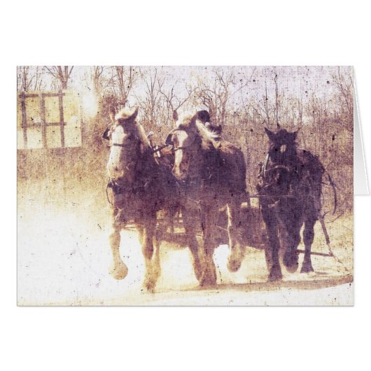 Working Horses Cards (Front Horizontal)