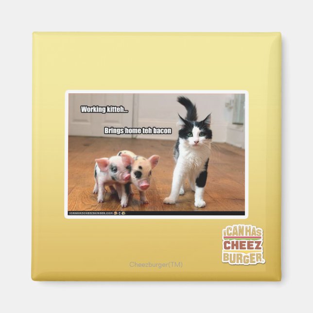 Working kitteh magnet (Front)