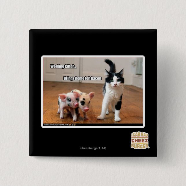 Working kitteh pinback button (Front)