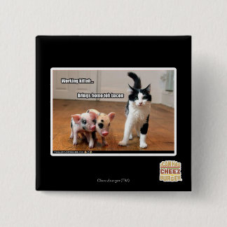 Working kitteh pinback button