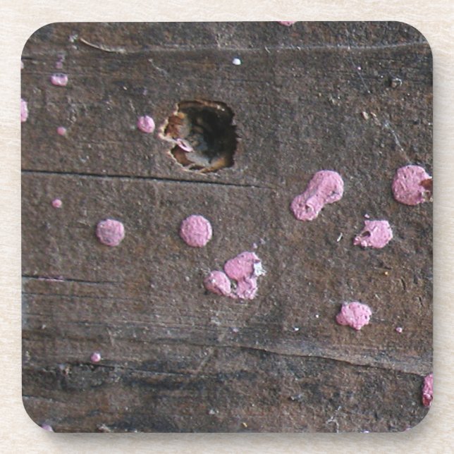 Working Wood 4 Drink Coaster (Front)