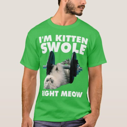Workout _ Cat _ Im Kitten Swole Right Meow T_Shirt