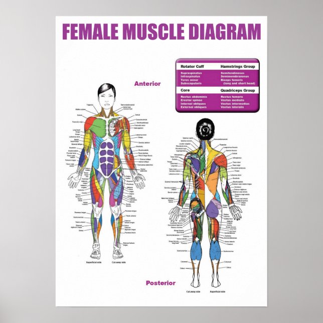 Workout Motivational Poster (Front)