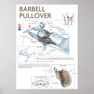 Workout Motivational Poster