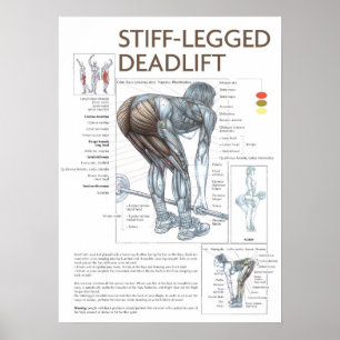 Workout Motivational Poster