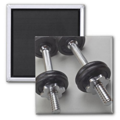 Workout weights magnet