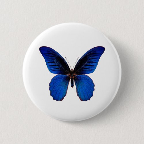World Butterfly 10 Round Button çãƒãƒƒã