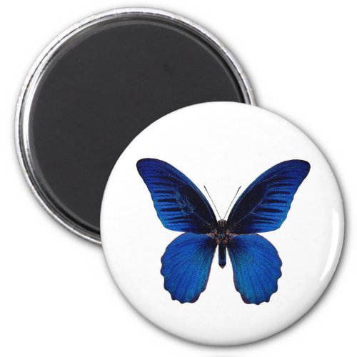 World Butterfly 10 Round Magnet