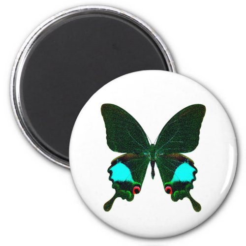 World Butterfly 12 Round Magnet
