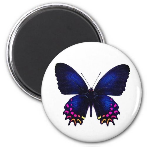 World Butterfly 13 Round Magnet
