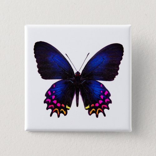  World Butterfly 13 Square Button