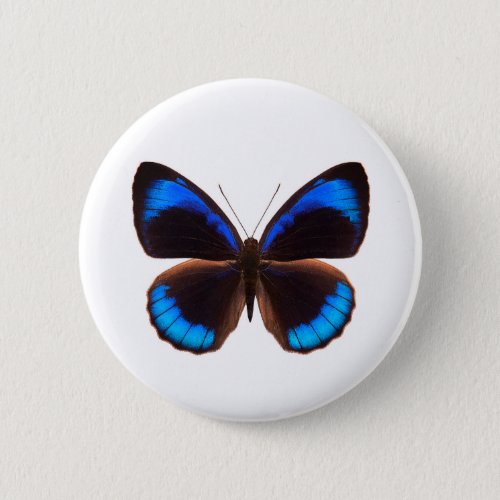  World Butterfly 14 Round Button
