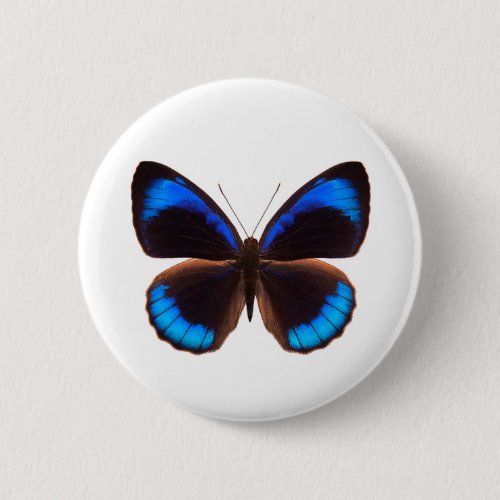 World Butterfly 14 Round Button World Butterfly 14 Round Button