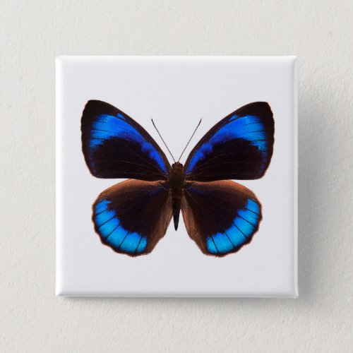  World Butterfly 14 Square Button