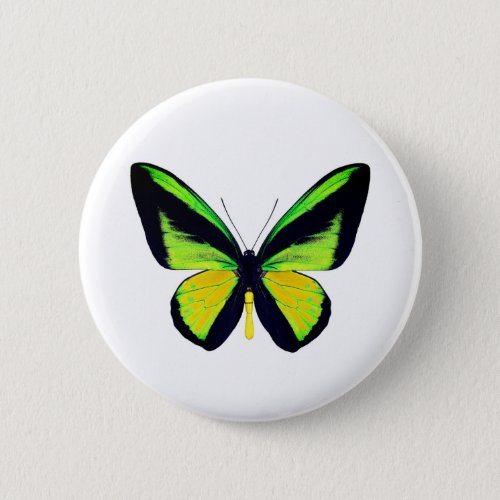  World Butterfly 1 Round Button