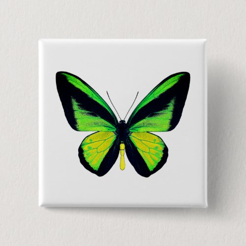 World Butterfly 1 Square Button
