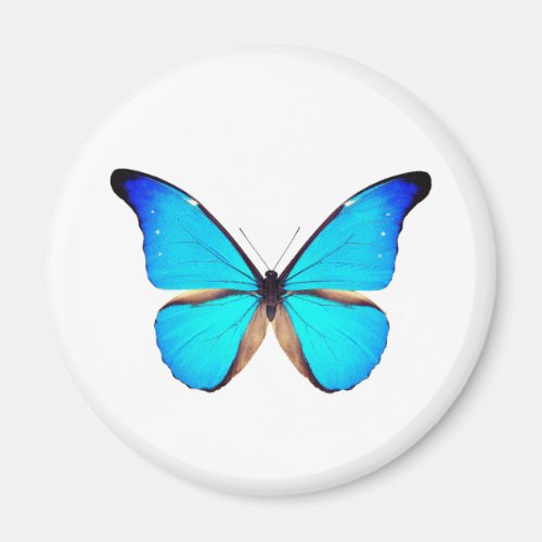 World Butterfly 2 Round Magnet