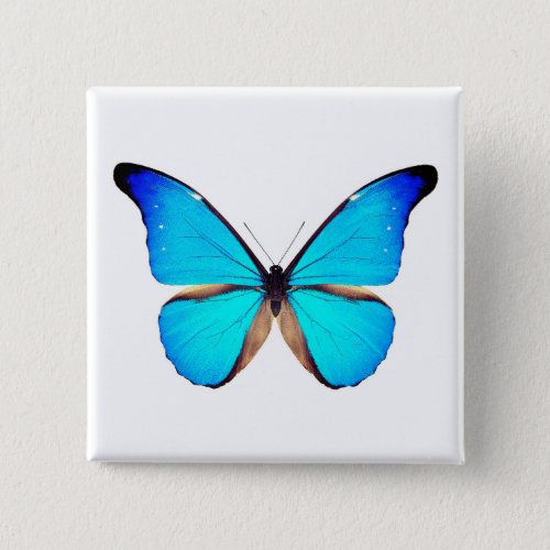  World Butterfly 2 Square Button