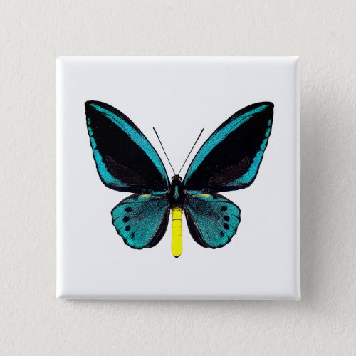  World Butterfly 3 Square Button
