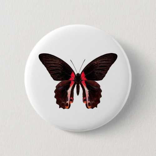 World Butterfly 4 Round Button çãƒãƒƒã