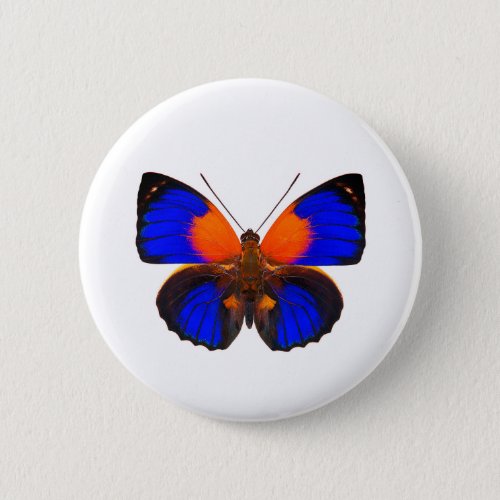  World Butterfly 5 Round Button