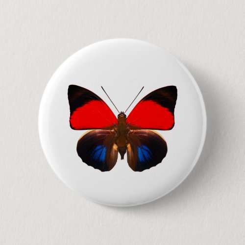  World Butterfly 6 Round Button