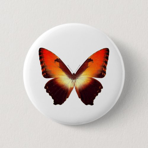  World Butterfly 7 Round Button