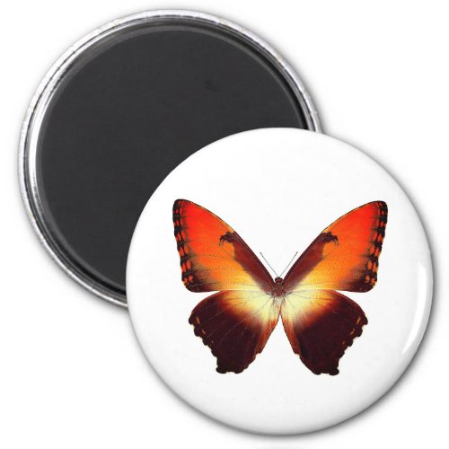 World Butterfly 7 Round Magnet