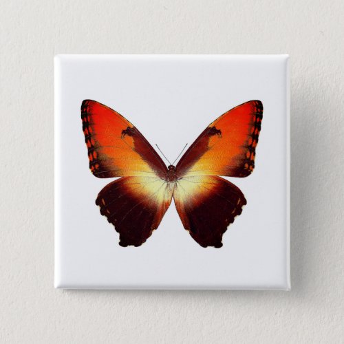 World Butterfly 7 Square Button
