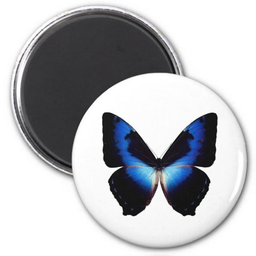 World Butterfly 8 Round Magnet