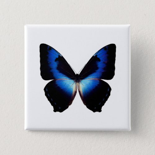  World Butterfly 8 Square Button