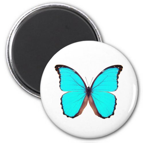 World Butterfly 9 Round Magnet