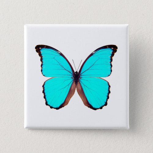  World Butterfly 9 Square Button