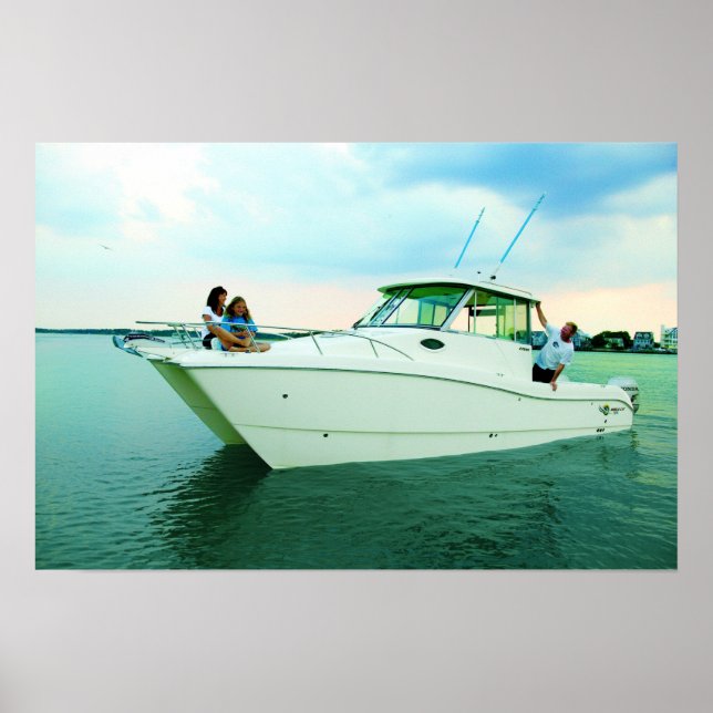 World Cat 270HT Poster (Front)