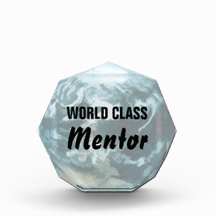 World Class Mentor Award