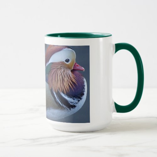 World Famous Central Park Mandarin Duck Mug