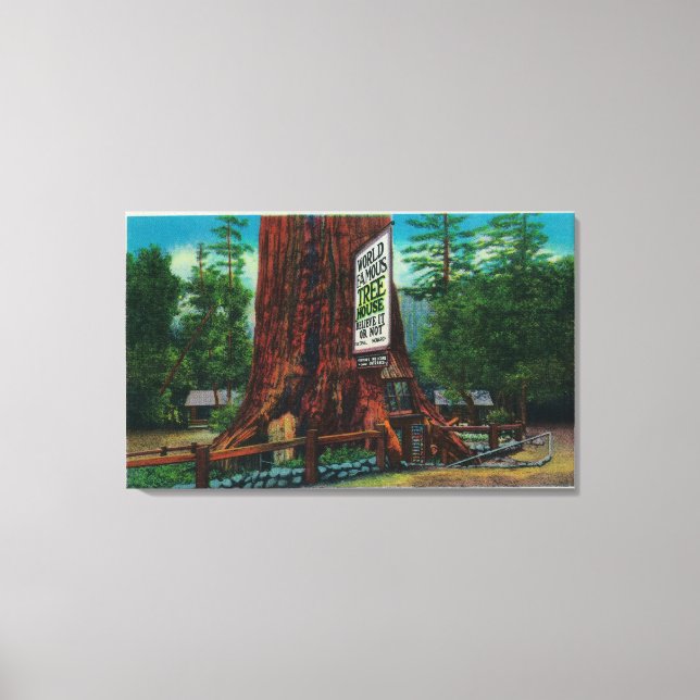 World Famous Tree House, Lilley Redwood Park Canvas Print (Front)