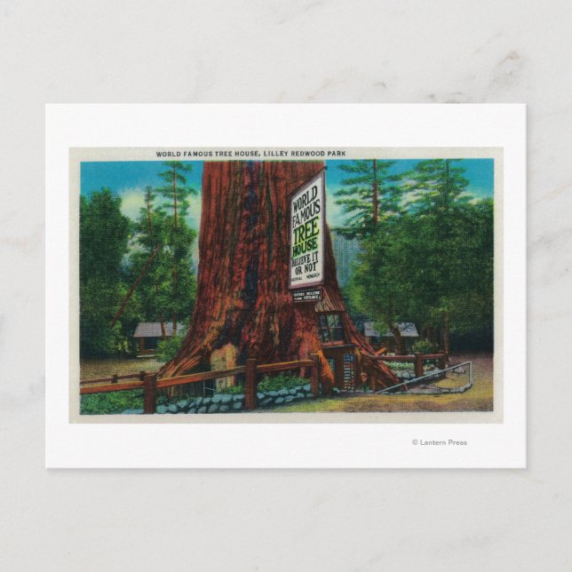 World Famous Tree House, Lilley Redwood Park Postcard (Front)