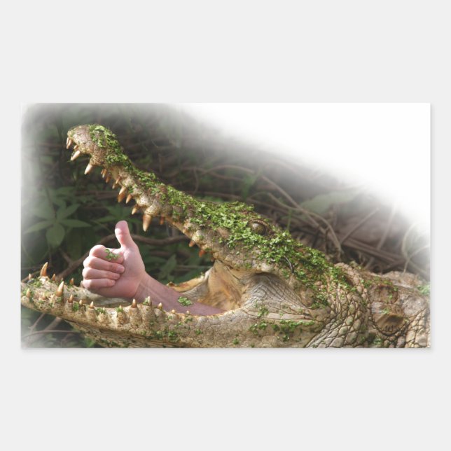 world hide & seek champion rectangular sticker (Front)