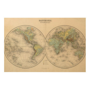 World hypsometric maps wood wall art