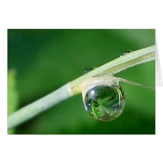 World in a droplet cards (Front Horizontal)