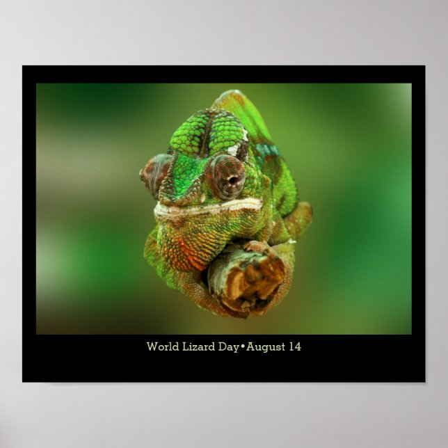 World Lizard Day, chameleon Poster (Front)