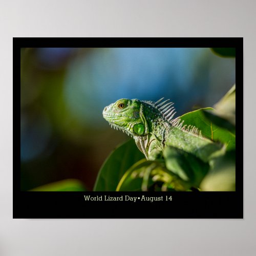 World Lizard Day iguana Poster