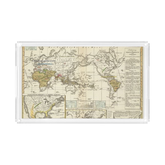 World Map of Diseases Acrylic Tray (Front)
