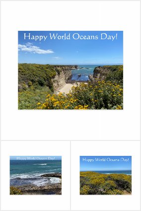 World Oceans Day: June 8