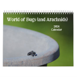 World of Bugs and Arachnids Creepy Crawly 2024 Calendar