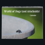 World of Bugs and Arachnids Creepy Crawly Calendar<br><div class="desc">This creepy-crawly calendar features my original photographs of weird bugs and spiders. Each page has the category identification to the type of bug it is. These calendars are high quality and vibrant. You may choose other sizes and other options if desired. This unique calendar would make a great gift for...</div>