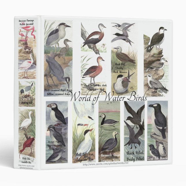 "World of Water Birds" 3 Ring Binder (Front/Spine)